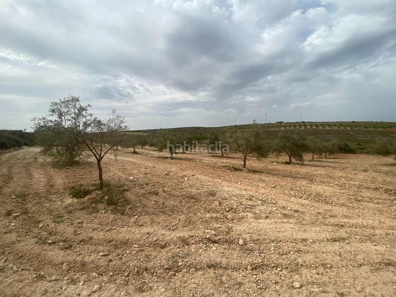 Foto 72c92d7f-fc68-40a6-9a2d-6d2f50e6f515. Finca rústica finca de olivos cerca en Padul