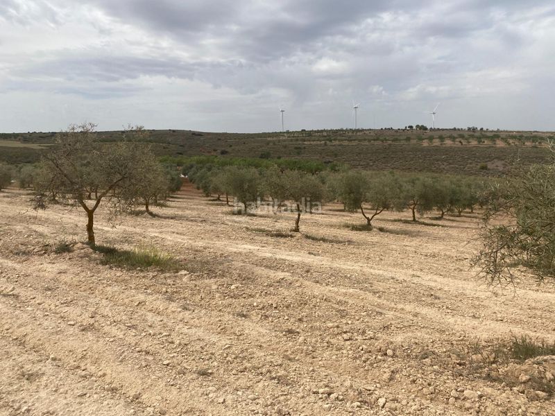 Foto a7ff6625-6c78-4553-8b0d-43bcb408c8c0. Finca rústica finca de olivos cerca en Padul