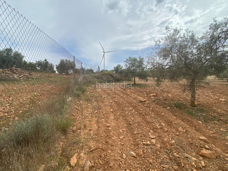 Foto b32cb671-e4cf-4063-a2c4-7117d85e3462. Finca rústica finca de olivos cerca en Padul