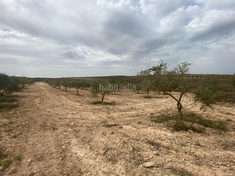 Foto bab25e2a-4036-4357-aa56-509c02a411ac. Finca rústica finca de olivos cerca en Padul