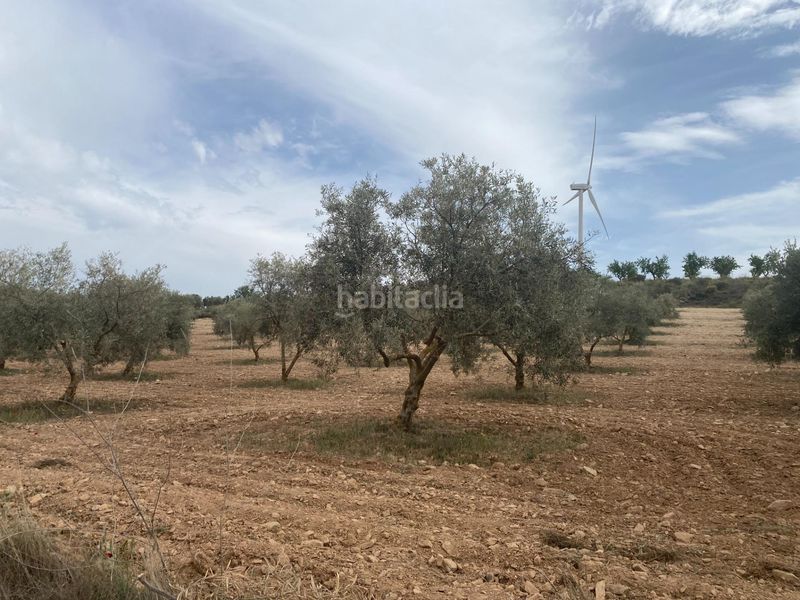 Foto c240ab9a-2b1d-4779-86ee-420fd2cc0047. Finca rústica finca de olivos cerca en Padul