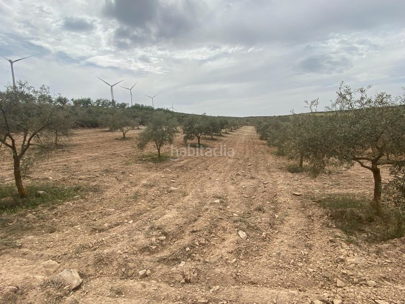 Foto cd4e9e8d-cccb-439c-bd49-69c03aab03b5. Finca rústica finca de olivos cerca en Padul