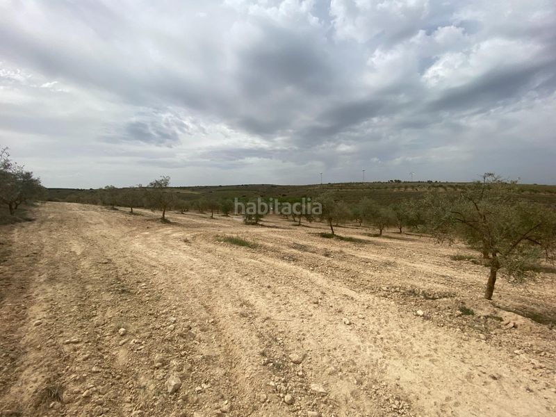 Foto e86fb9d9-ed9c-49da-92ff-7bb7d915920d. Finca rústica finca de olivos cerca en Padul