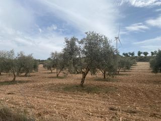 Rural plot in Polígono Polígono 16 Parcela 646 CAÑADA DE ZALDIVAR. PADU