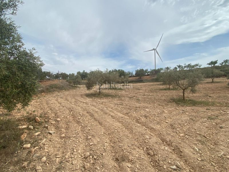 Foto f9fd46b1-dc97-44eb-8539-1667e4762225. Finca rústica finca de olivos cerca en Padul