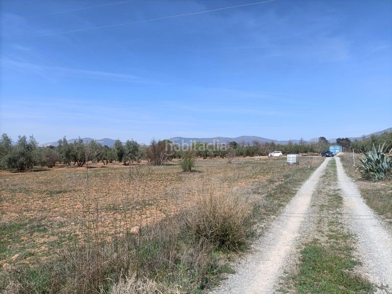 Foto 3ea2af79-eb4d-412f-b26f-bce81f025b00. Finca rústica a Albolote