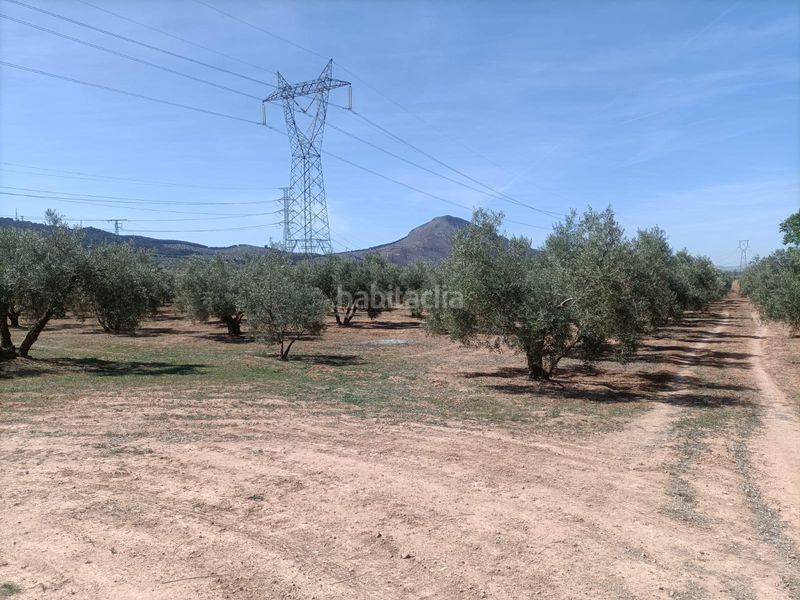 Foto 58a29773-6236-4112-9d30-f4152b507b45. Finca rústica a Albolote