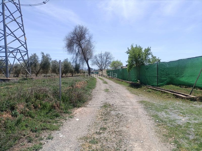 Foto 5cb9c322-a412-40ee-aa17-efa57f268263. Finca rústica a Albolote