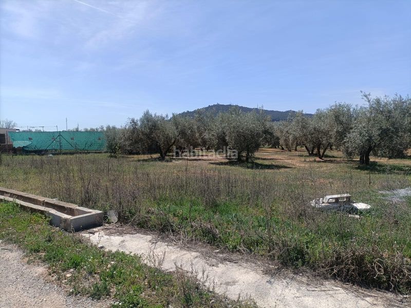 Foto 5dbc54ff-b781-4674-a860-72be9ae6c839. Finca rústica a Albolote