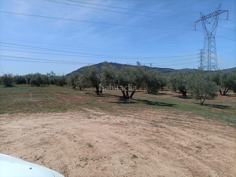 Foto 60507499-2c94-40ca-a600-5ff9b7701976. Finca rústica a Albolote