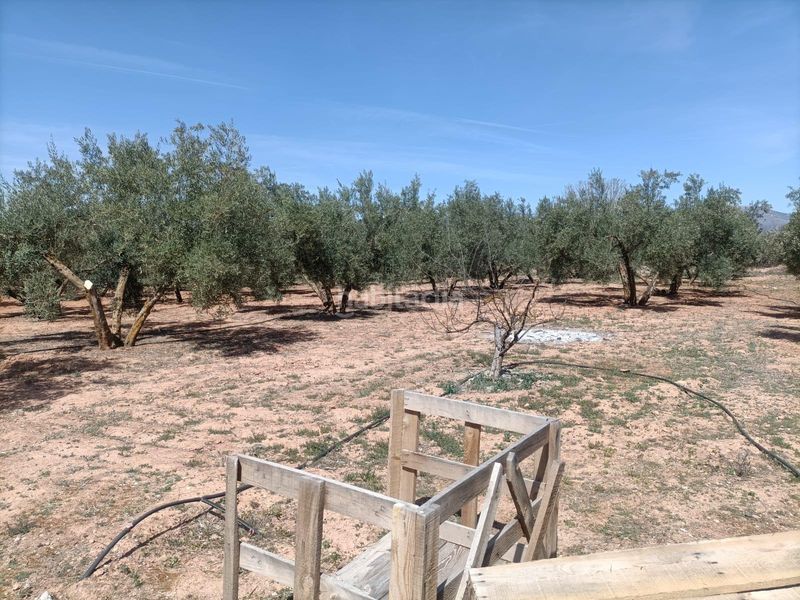 Foto 9e0b99ac-583d-4832-996e-590e956c07cb. Finca rústica a Albolote