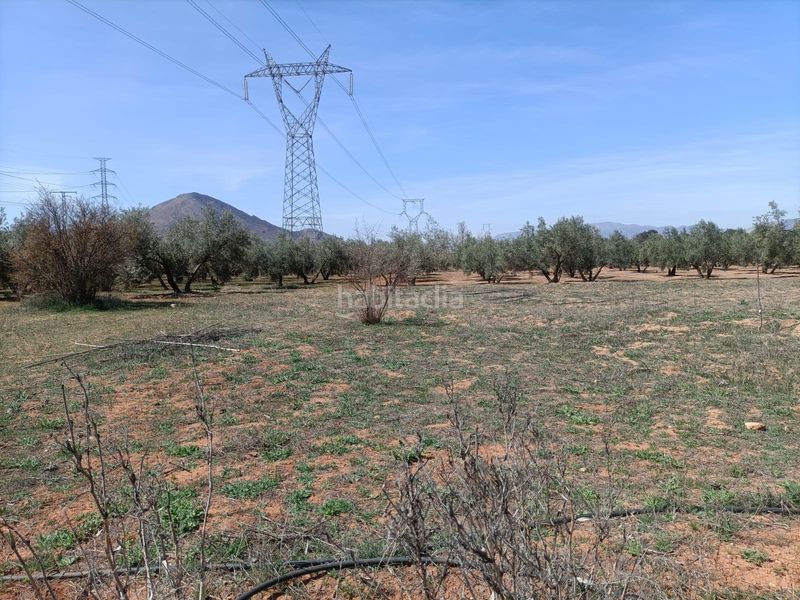 Foto ac51d18d-553b-4752-981c-bcfced983bcd. Finca rústica a Albolote