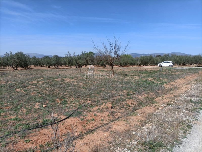 Foto d02f8cea-2410-4685-a78d-92e48b4e9a15. Finca rústica a Albolote