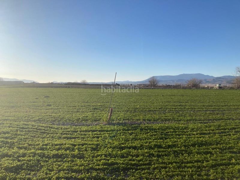 Foto 690ae275-4ca3-475c-9400-c0f3fc0cdbd9. Finca rústica a Pinos Puente