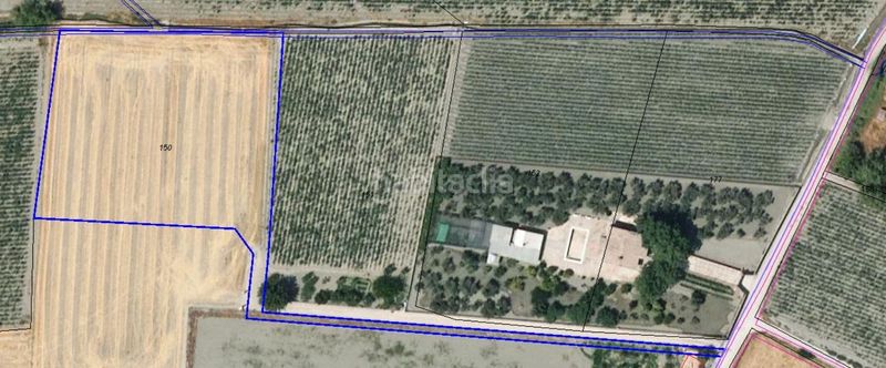 Foto 73ac0633-7053-4380-b2c9-57569046fa0d. Finca rústica a Pinos Puente