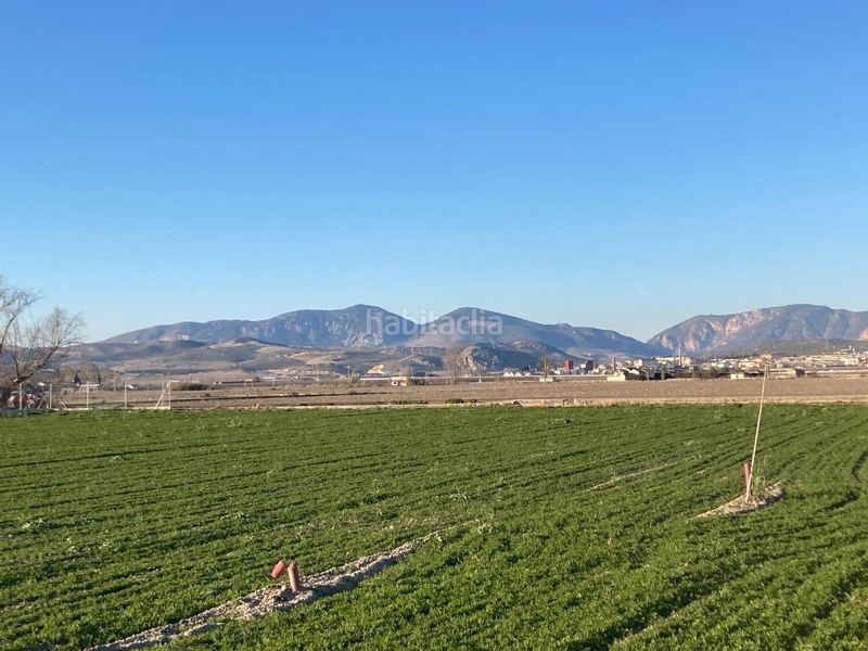 Foto d06be872-5f83-4757-bdbf-f81900c5d537. Finca rústica a Pinos Puente