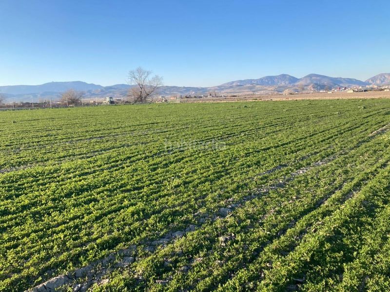 Foto e3c23be2-ab24-4c22-b60d-0f0ff823f795. Finca rústica a Pinos Puente