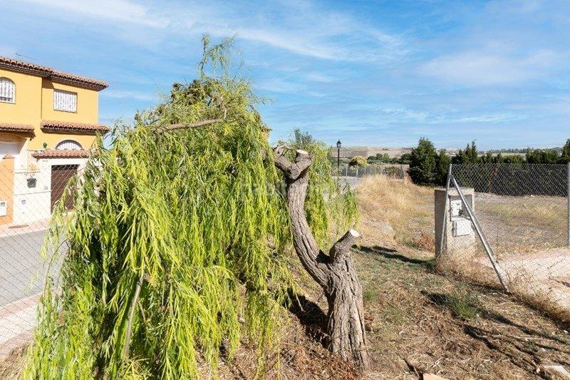 Foto 7f2dafbb-0cc1-41ba-bc39-9c6863960755. Solar industrial a Urbanizaciones Alhendín