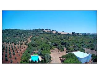 Mas à Arcos de la Frontera. Cortijo en la sierra de cádiz.