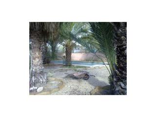 Casa a Garrucha - vera, zona buganvillas. Casa con parcela  venta vera