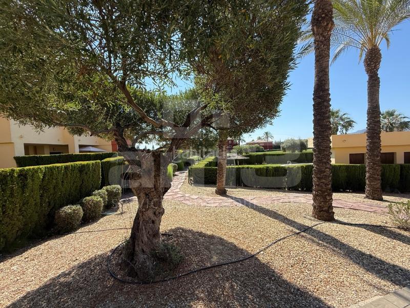 Foto 7eb6877f-072b-48e2-a6c9-061a7ca9cdb6. Dúplex amb aparcament a Golf Valle Este Vera