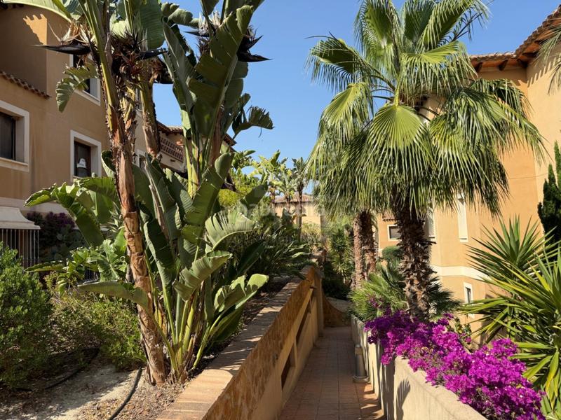 Foto 50dc07da-2c5b-41cb-ad9c-7aa48080ab7e. Piccolo appartamento con parcheggio in Golf Valle Este Vera