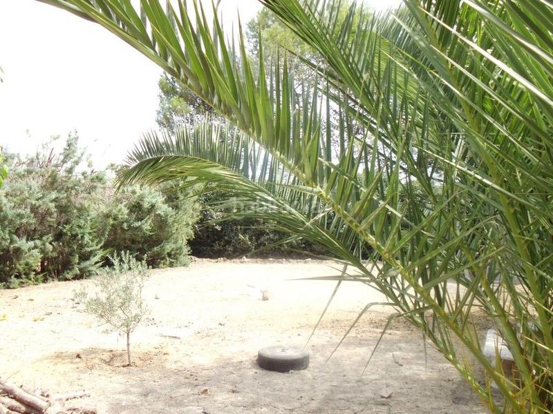 Foto a80a487e-daf4-4675-8fcd-252a944d5f85. Masía en plaza lo imposible casa con parcela a 10 km de úbeda. en Torreperogil