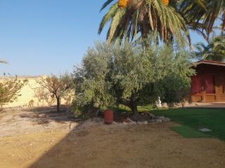 Masia a Cuevas del Almanzora Pueblo. Cortijo con 337 m2 construidos y 6.000 m2 de suelo.