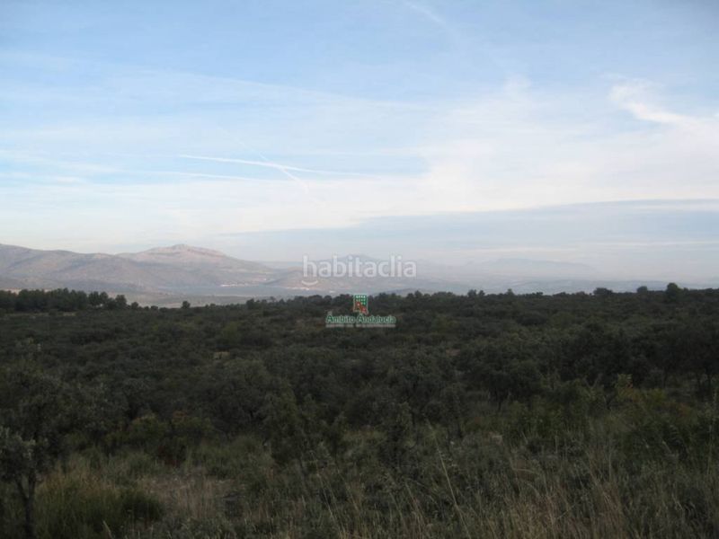 Foto b8861812-6bba-48f9-97bf-8705bf86cbf1. Finca rústica a Iznalloz