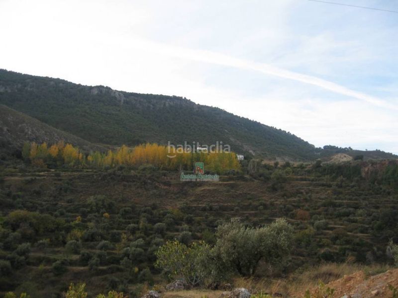 Foto f5926129-556d-4325-8837-6f09500df23c. Finca rústica a Iznalloz