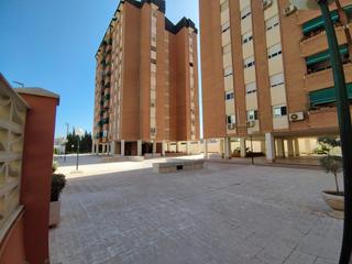 Lloguer Pis  Calle diego lara valle