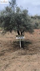 Terreny residencial a Calle solano 22. Tu retiro mediterráneo en añoreta golf - la noria : parcela excl