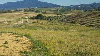 Lloguer Masia a Coín. Se vende parcela rustica con opcion a compra