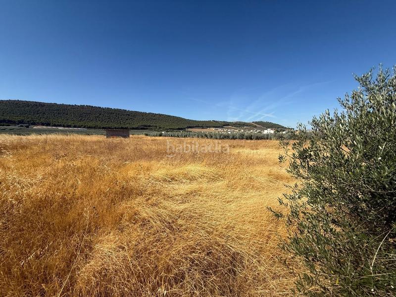 Foto ab268f21-8905-4192-84ed-8b5368eb942d. Terreno residencial terreno para la instalacion de una residencia de ancianos geriatrico en Humilladero