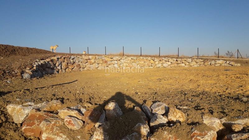 Foto 6af72c3d-b984-47a2-be58-f2f79813486d. Mas dans Coín