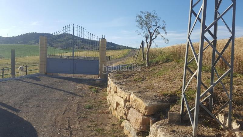 Foto b9f63279-81a9-40a3-9888-9f329c9a3e26. Mas dans Coín