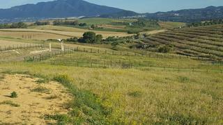 Mas à Coín. Se vende parcela rustica en coin