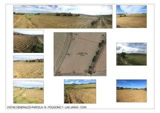 Finca rústica a Coín. Irrigated farm for sale in coin