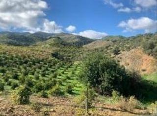 Terreny residencial a Álora. Parcela suelo rustico alora