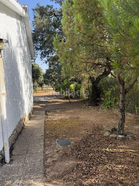 Foto a332c6c6-d2f9-4906-a8c3-c7d0f2431976. Haus in Las Zorreras-Monte Encinar Escorial (El)