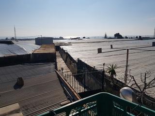 Finca rústica a Aguadulce Norte. Se vende invernadero y casa