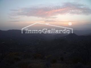 Terreny residencial a Sedella. Parcela en sedella