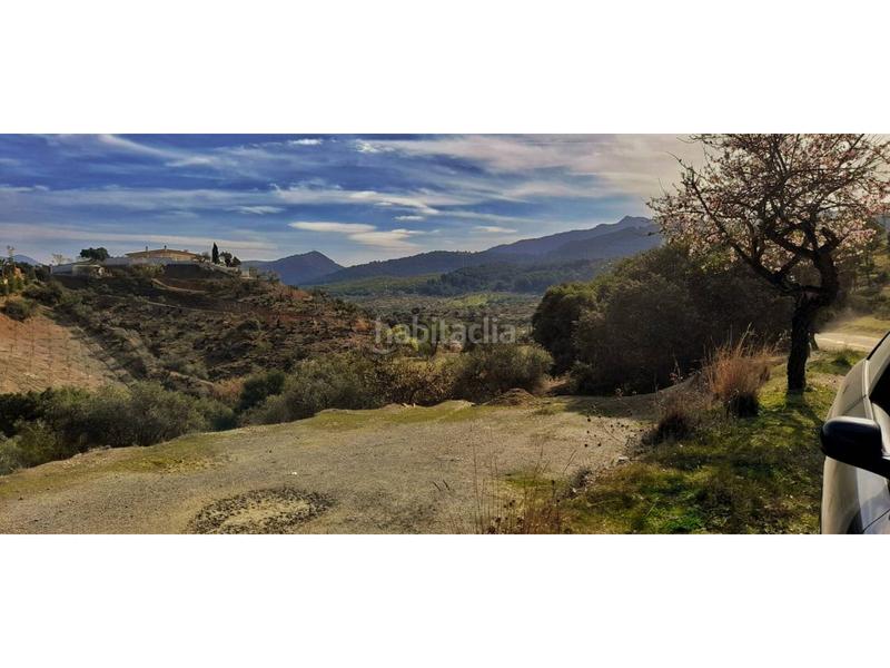 Foto b8844dee-b911-4f2e-9761-10da5f99b789. Terreno residenziale in partida rosuelas 83 in Monda