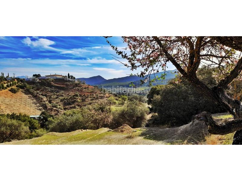 Foto f92acaab-2634-422e-a4ee-0adac6c03ed0. Terreno residenziale in partida rosuelas 83 in Monda