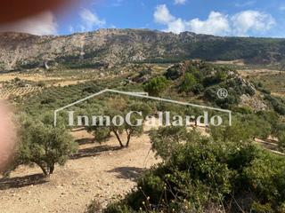 Finca rústica a Casarabonela. Terreno en venta en la dehesa ,casarabonela