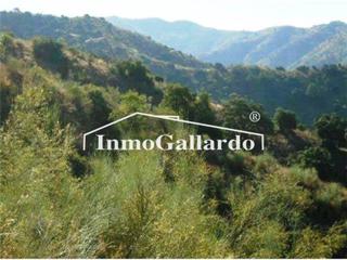 Fondo rustico  Altos de jaboneros. Finca rústica en paraje jaboneros