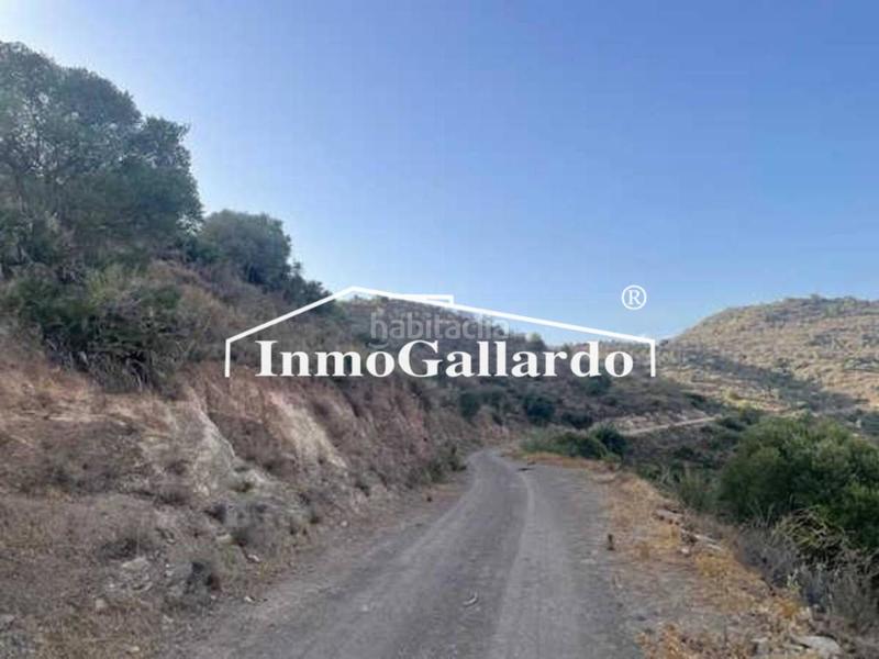 Foto 22965b98-f67a-48d9-ab4c-2f7fa818501d. Fondo rustico in Olías Málaga