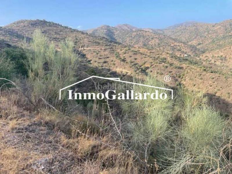 Foto 54328e9e-92f7-42ce-b0be-f90ec3cdd8ab. Fondo rustico in Olías Málaga