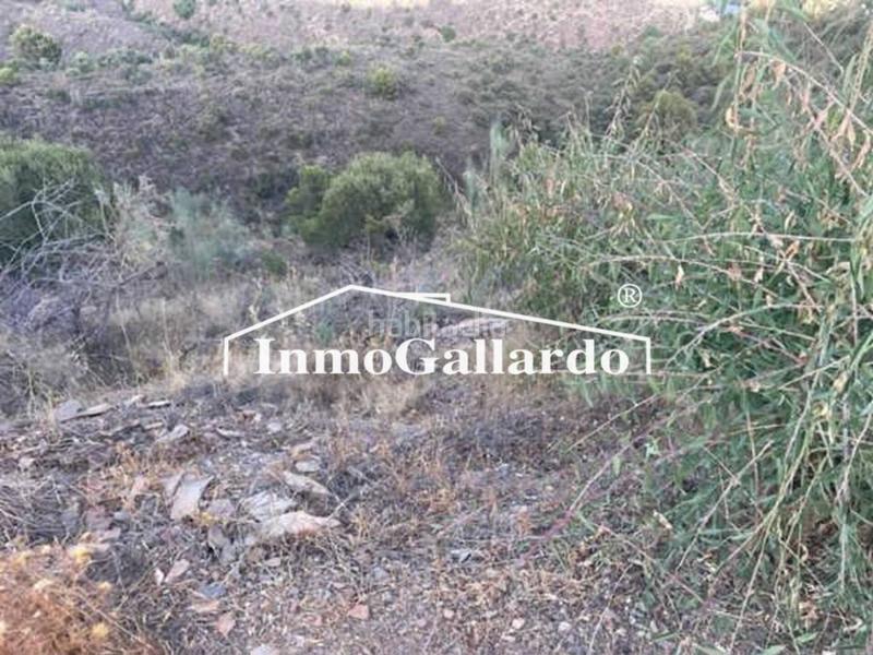 Foto c90a1b64-5fb5-4e75-acaa-e988f093ab17. Fondo rustico in Olías Málaga