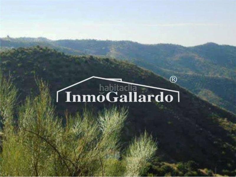 Foto e4f285cd-b2a5-47a8-b329-c67a18c65bd6. Fondo rustico in Olías Málaga